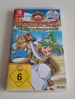 Nintendo Switch Spiel Wonder Boy Asha in Monster World Schleswig-Holstein - Harrislee Vorschau