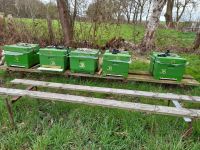 Bienenvölker, Carnica , mit Gesundheitszeugnis DNM zu verkaufen Niedersachsen - Hassendorf Vorschau