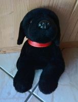 ☆Plüsch-Labrador ☆Keel Toys☆ NEU☆ca. 35 cm ☆Sucht neues Zuhause!☆ Bayern - Edling Vorschau