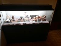 Aquarium ca. 240l mit Unterschrank Baden-Württemberg - Neuhausen ob Eck Vorschau