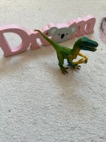 Schleich Dino Sachsen - Radeberg Vorschau