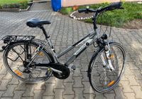 Pegasus Piazza Damenfahrrad 28 Zoll Bayern - Regnitzlosau Vorschau