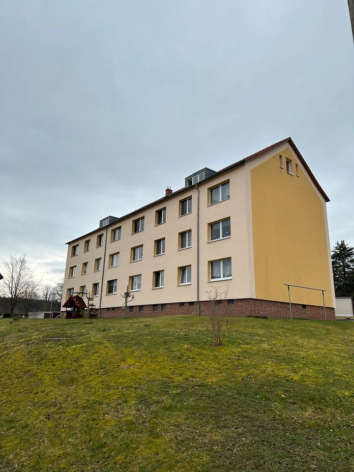 3-Zi.-ETW inkl. Garage und traumhafter Aussicht in Leubsdorf/ HF in Leubsdorf