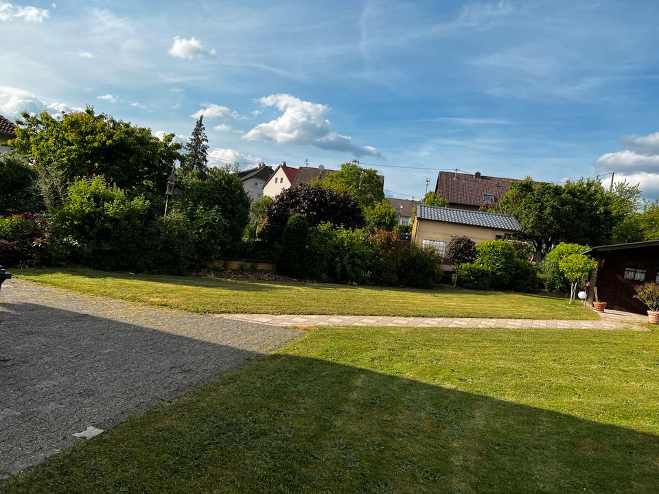 MT Garten-Landschaftspflege,Hausmeisterservice in Binsfeld