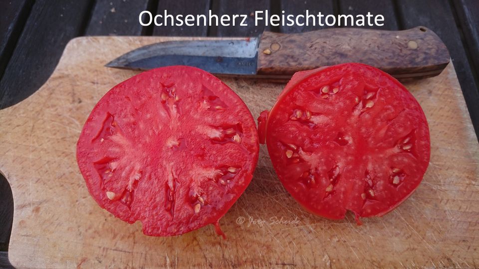 Tomatensamen samenfest alte Sorten , Chili, Paprika und Kürbis in Zwickau