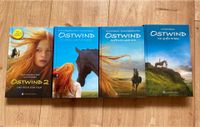 Ostwind Bücher 2, Rückkehr nach Kaltenbach,3,5 Saarland - Homburg Vorschau