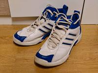 Vintage Adidas Turnschuhe Sneaker 80er-90er Jahre Gr 43-44 Hessen - Bad Schwalbach Vorschau