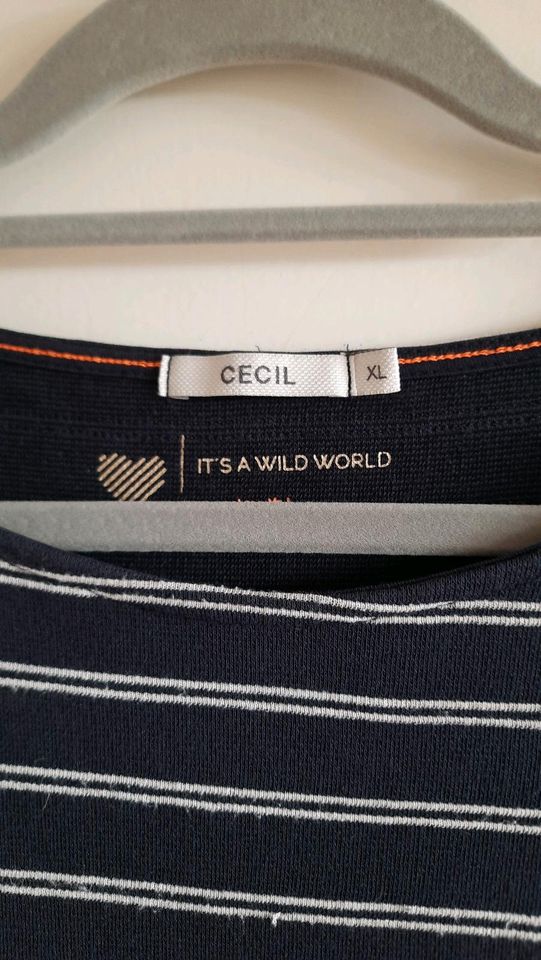 Cecil-Set / 3 Shirts / Größe XL in Bremen