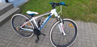 Cube MTB 26 Zoll, 38er Rahmen Bayern - Happurg Vorschau