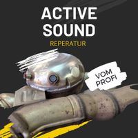 Active Sound Lautsprecher Booster Reparatur Golf 7 GTD Bayern - Reichertshofen Vorschau