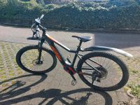 KTM Macina Race 293 Nordrhein-Westfalen - Meschede Vorschau