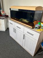 Aquarium mit Fische zu verkaufen Bayern - Kaltenbrunn Vorschau