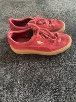 Puma Suede Dunkelrot (39) Niedersachsen - Lengede Vorschau