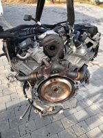 Motor Mercedes C350 W204 CDI LIFT 642830 231PS komplett Berlin - Wilmersdorf Vorschau