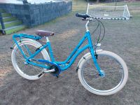 Neuwertiges Damenfahrrad Winora Comfortline 26 Zoll RH 44 cm Sachsen - Chemnitz Vorschau