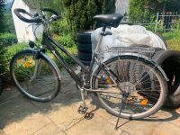 Active Trekking Bike 12-Gang Damen Rheinland-Pfalz - Nassau Vorschau