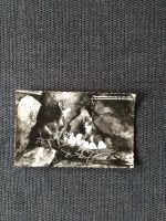Gemsennest, Ansichtskarte, Postkarte, ungelaufene Karte, Vintage Baden-Württemberg - Achern Vorschau