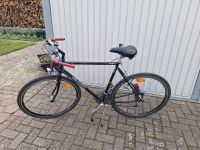 Peugeot Trekking Rad Niedersachsen - Lachendorf Vorschau