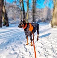 Hundemantel Hessen - Aßlar Vorschau