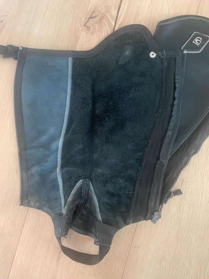 Cavallo Dynamic Chaps Chapslettwn Reitletten Kurzchaps Leder in Oberursel (Taunus)