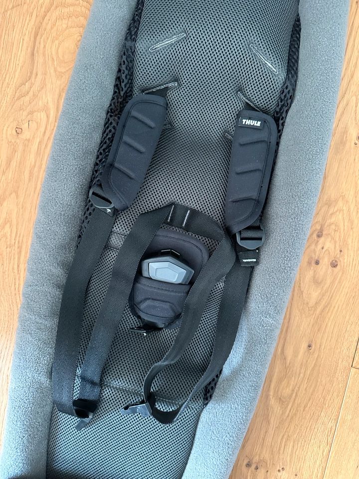 *NEU* Thule Chariot Infant Sling Baby Hängematte in Meschede