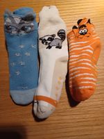 Stoppsocken Sachsen-Anhalt - Egeln Vorschau