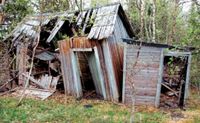 Garten/Abriss/Entkernung (auch kurzfristig) Kiel - Mitte Vorschau