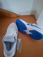 Asics Hallenschuhe Gr. 39 Bayern - Falkenstein Vorschau