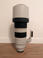 Sony 200-600mm Teleobjektiv Bayern - Georgensgmünd Vorschau