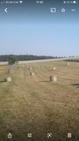 Heu Heurundballen Heu Rund Ballen  Klein für Tier was Heu fressen Sachsen - Oelsnitz / Vogtland Vorschau