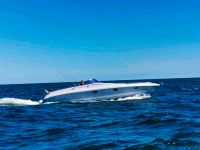 Sportboot Motorboot Tullio Abbate Exception 33 2 x Volvo Penta D4 Brandenburg - Eberswalde Vorschau