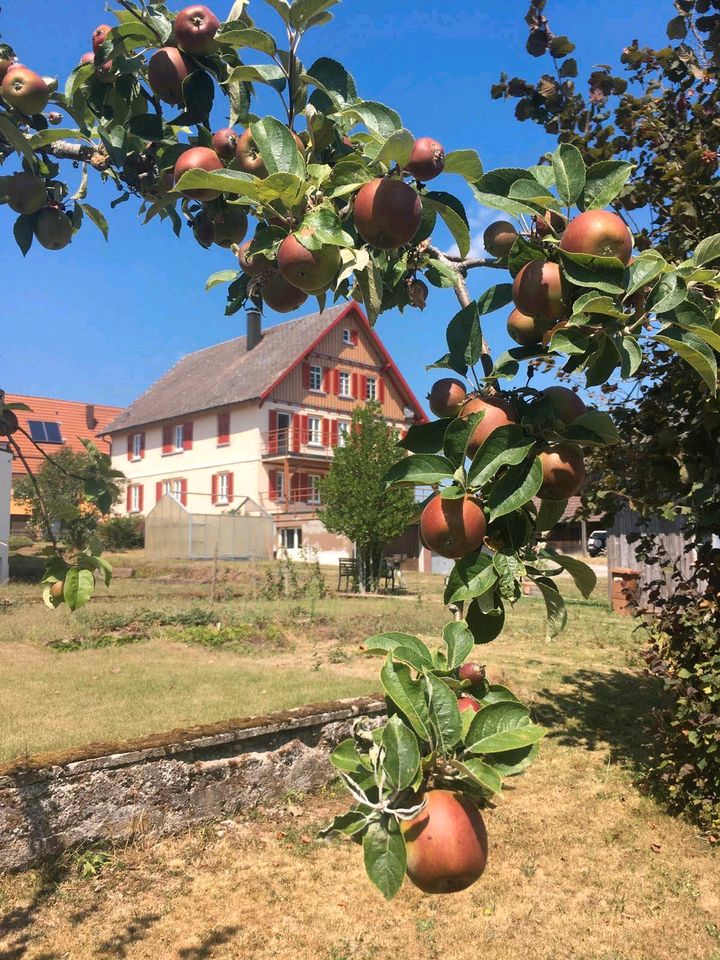 3-Zimmer-Wohnung auf kleinem Reiterhof in Neubulach in Neubulach