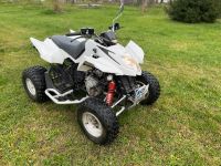 SportQuad Arctic Cat DVX- 300 2 Sitzenr Top Zustand Tausch Thüringen - Nordhausen Vorschau