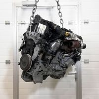 Motor Ford Fiesta 1.4 TDCi KVJA F6JD 68PS - Komplett Brandenburg - Blankenfelde-Mahlow Vorschau