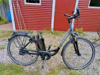 Raleigh Impulse E-Bike für Bastler!!! Schleswig-Holstein - Henstedt-Ulzburg Vorschau