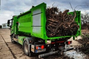 Containerdienst Strauchwerk Entsorgung Container mieten Peine in Peine