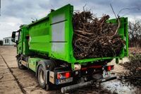 Containerdienst Strauchwerk Entsorgung Container mieten Peine Niedersachsen - Peine Vorschau