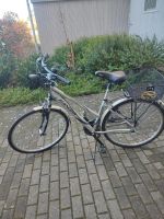 Fahrrad Damen Baden-Württemberg - Kehl Vorschau
