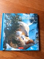 Eisbären Bilderbuch Bayern - Egenhofen Vorschau