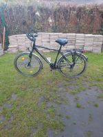 Fahrrad 28 Zoll Duisburg - Rheinhausen Vorschau