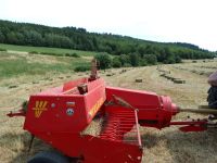 Heu , hd Ballen Heu, kleine heuballen Rheinland-Pfalz - Birkenfeld Vorschau