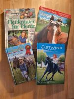 Pferdebücher zu verkaufen Nordrhein-Westfalen - Nottuln Vorschau