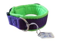 Hunde Halsband Softshell gepolstert welpe xs, s, m, l, xl Nordrhein-Westfalen - Ahaus Vorschau