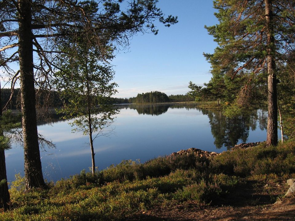 Haus mit Traumlage am Stöpsjön bei Torsby in Schweden inkl. Kanu in Böblingen