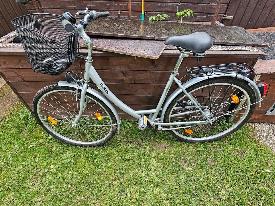 Fahrrad 28 Zoll Proline in Rüthen