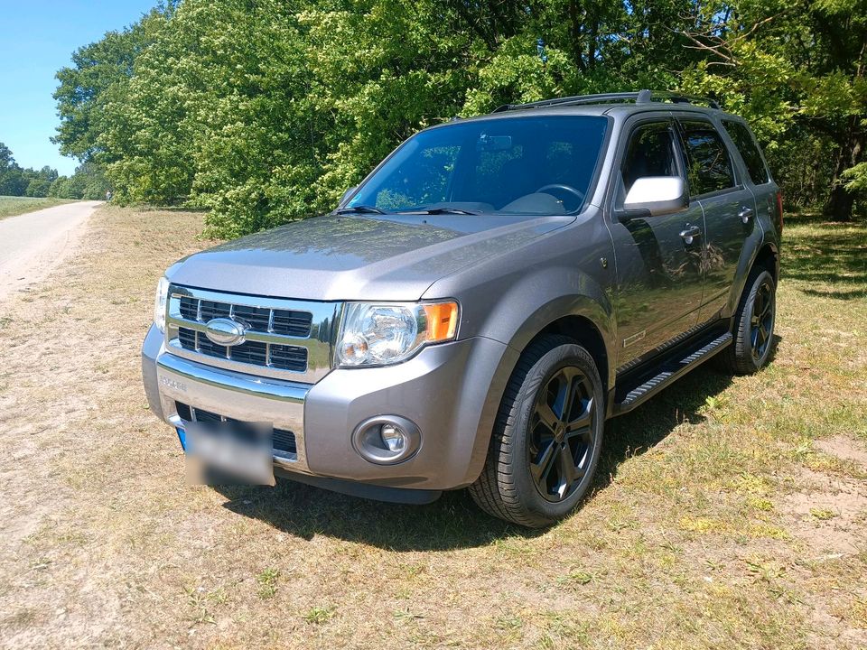 Ford Escape Limited 3.0 V6 (USA Import) in Braunschweig