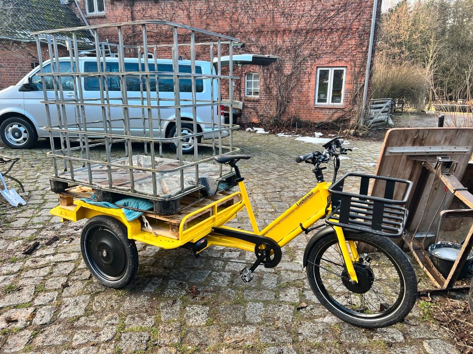 Lastenrad schwerlastrad cargorad e bike in Groß Grönau