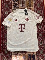 FC Bayern Trikot 2023 Hessen - Darmstadt Vorschau