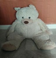 XXL Teddy sitzend 82 cm, 62 cm breit Duisburg - Rheinhausen Vorschau