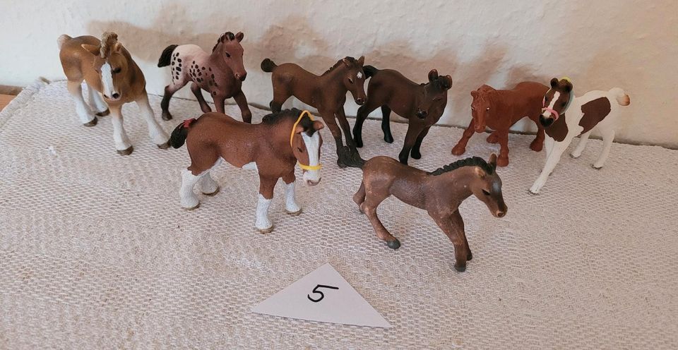 Schleich Fohlen zu verkaufen in Wriedel